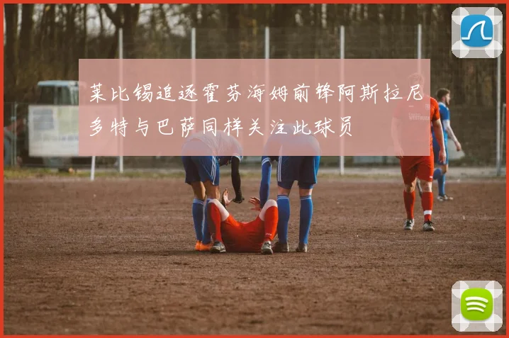 莱比锡追逐霍芬海姆前锋阿斯拉尼多特与巴萨同样关注此球员