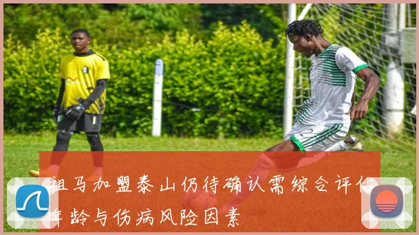 祖马加盟泰山仍待确认需综合评估年龄与伤病风险因素